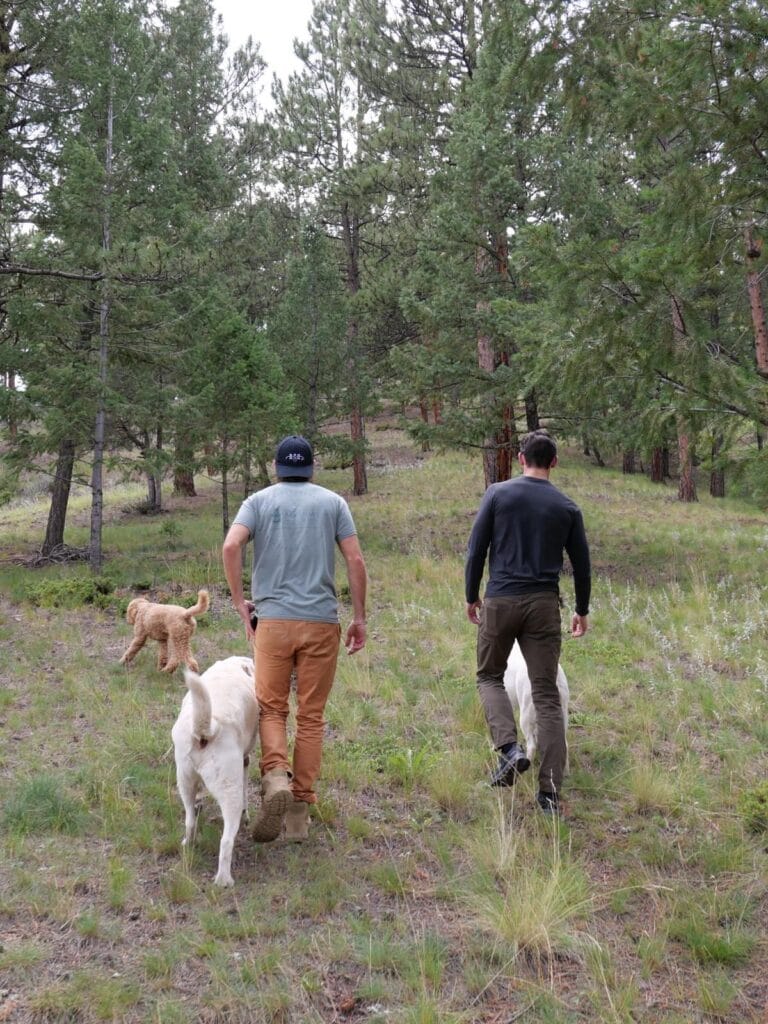 Colorado1-768x1024.jpeg